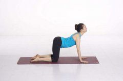 这几个瑜伽动作祛湿效果最好 快速祛湿的方法