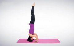 头倒立式瑜伽怎么练 头倒立式瑜伽详细步骤