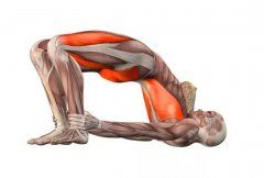 瑜伽体式大全 桥式瑜伽动作精讲