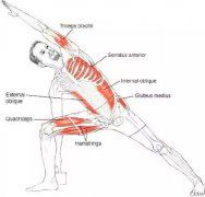 瑜伽体式大全 三角侧伸展式瑜伽动作精讲