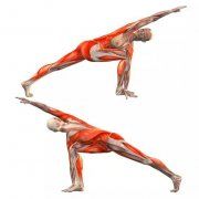 瑜伽体式大全 三角扭转侧伸展式瑜伽动作精讲