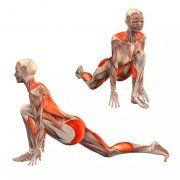 瑜伽体式大全 新月式瑜伽动作精讲