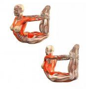 瑜伽体式大全 弓式瑜伽动作精讲