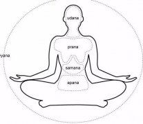 瑜伽五行气是什么