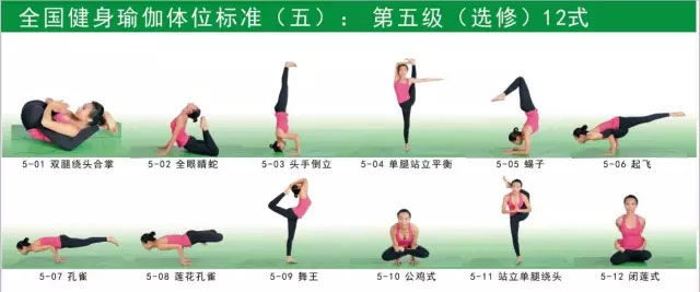 瑜伽体式大全 专业级瑜伽108式体位标准图9