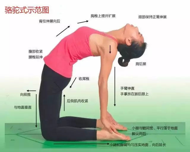 瑜伽体式大全 专业级瑜伽108式体位标准图21