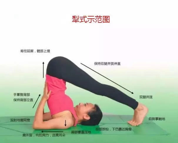 瑜伽体式大全 专业级瑜伽108式体位标准图19