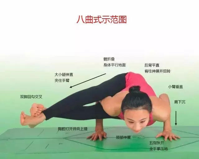 瑜伽体式大全 专业级瑜伽108式体位标准图11